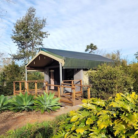 Southern Sky Glamping Mount Tamborine Exterior photo